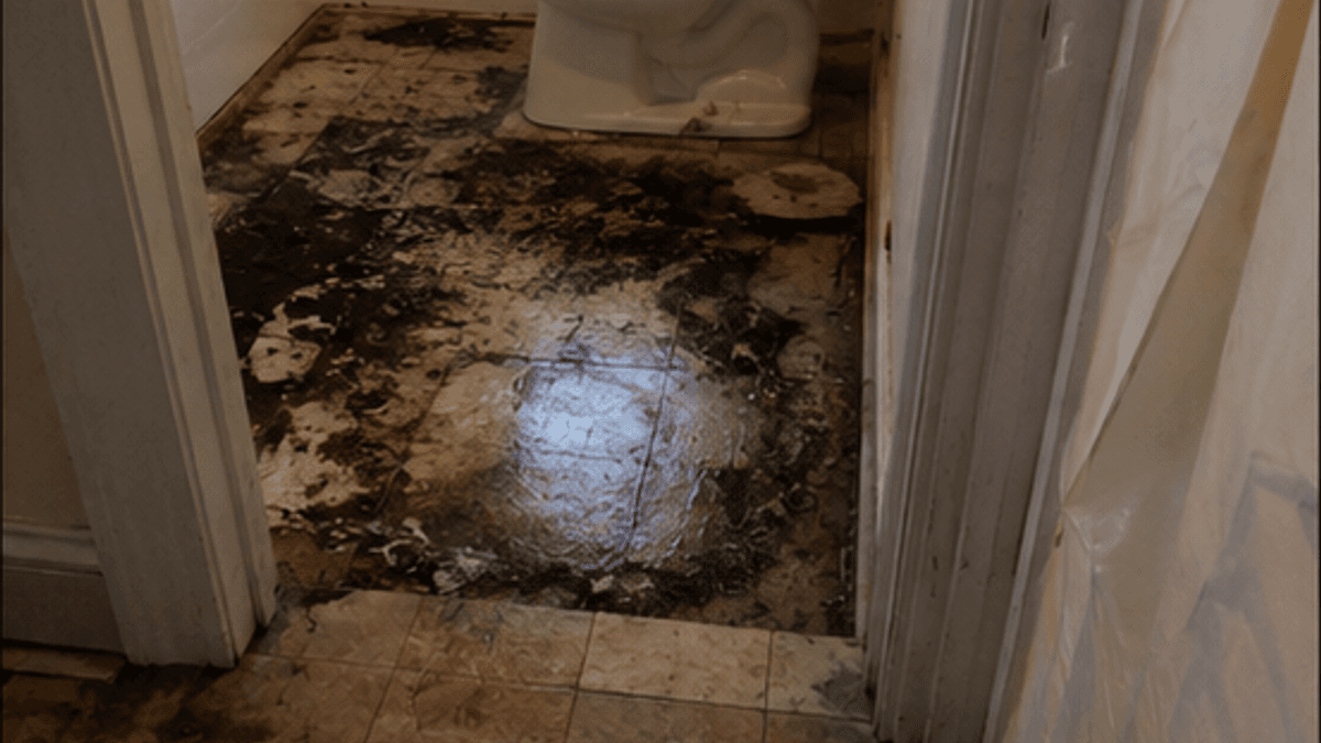 Contaminated bathroom floor after a sewage backup